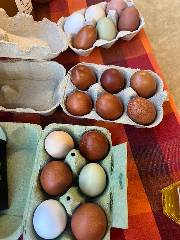 Œufs colorés
