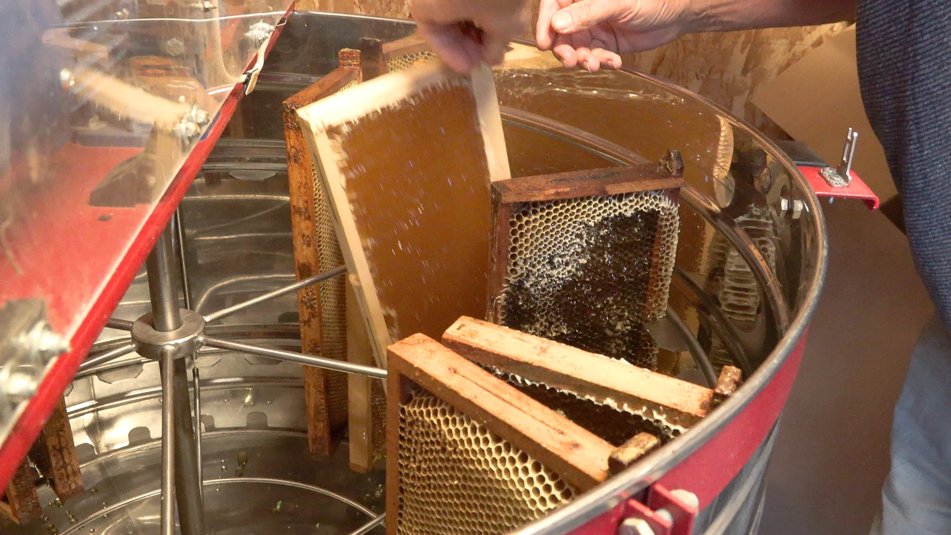 Extraction du miel